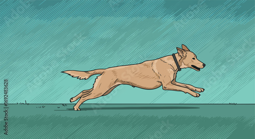 Dog leaps forward