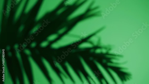 Tropical Palm Leaf Shadow on Green Wall - Abstract Nature Background