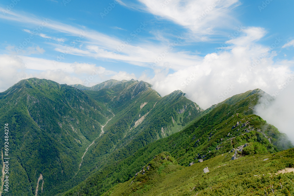 Fototapeta premium 日本の自然