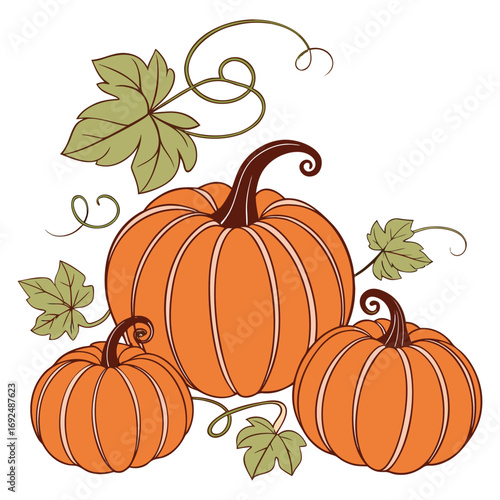 Vector illustration of an autumn pumpkin harvest