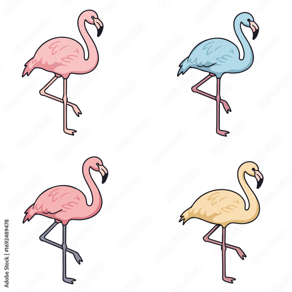 Fototapeta premium Diverse Flamingos