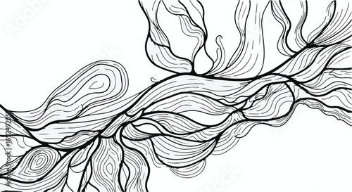 Organic black and white abstract lines flowing like water or smoke on a white background