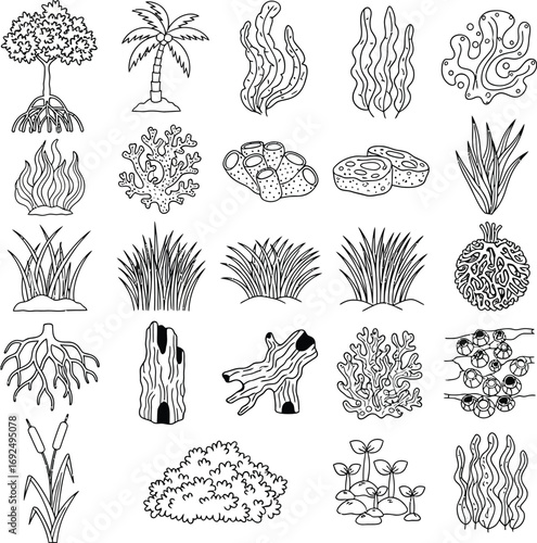 Hand-Drawn Nature Elements Plants, Trees, and Underwater Flora Illustrations