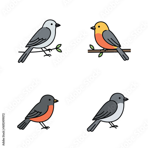 Wallpaper Mural Four cute birds with distinct colors sitting on branches or ground Torontodigital.ca