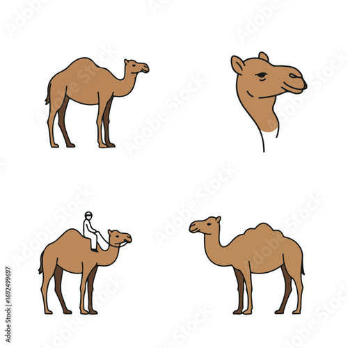Camel Cliparts