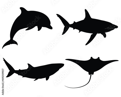 Dolphin shark and ray silhouettes collection underwater ocean wildlife aquatic creatures silhouette vector illustration white background