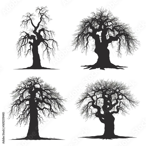 Creepy gnarled tree silhouettes four spooky artistic tree designs for halloween silhouette vector illustration white background