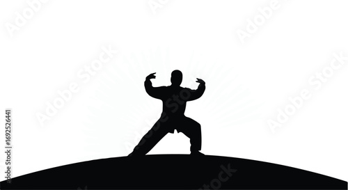 Silhouette of person practicing martial arts outdoors with radiating energy