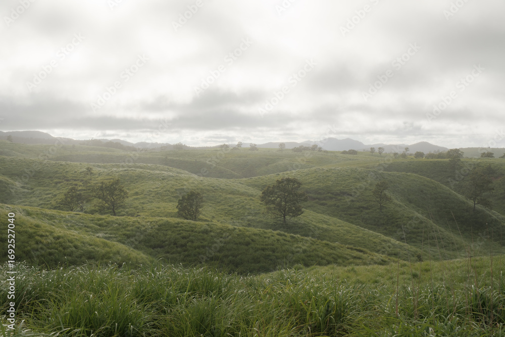 Fototapeta premium 日本の風景