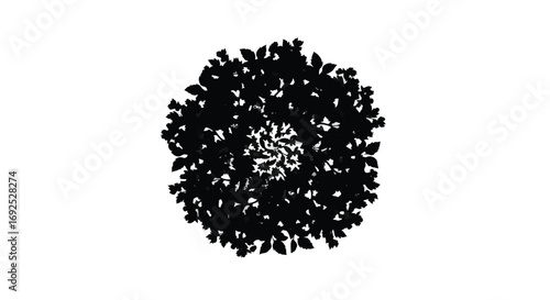 Abstract dark floral pattern with delicate circular symmetry on white background