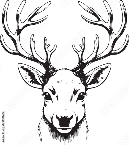 Deer Face Sketch: Detailed ink sketch of a majestic deer head, showcasing intricate antler and expressive gaze in this monochrome artwork.