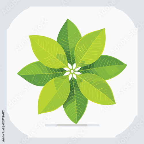 Lemon Leaves Vector Illustration in EPS Format, Minimalist Botanical Design
