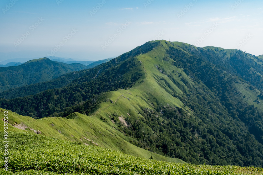 Obraz premium 日本の風景