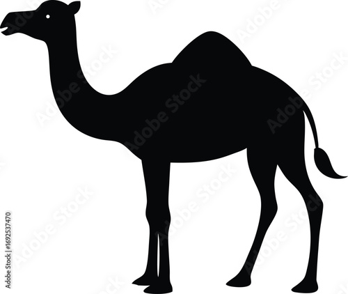 Desert Camel Silhouette Vector Flat Design, Sahara Animal Symbol