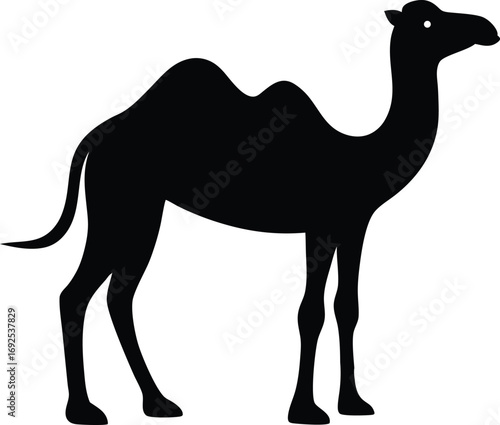 Camel Silhouette Vector Flat Design, Desert Animal Icon on White Background
