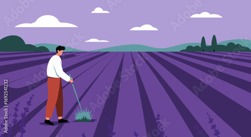 A person works diligently in a vast, vibrant lavender field under a peaceful sky, depicting agricultural work and rural tranquility.