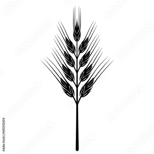 A minimalist black grain stalk on a white background, symbolizing agriculture, harvests, food, and natural abundance.