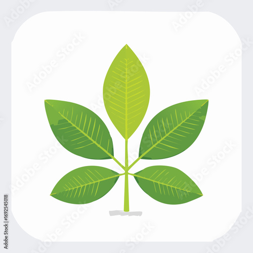 Lemon Leaves Vector Illustration in EPS Format, Minimalist Botanical Design