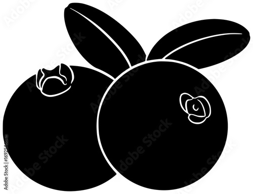 fruit illustration cranberry silhouette food logo berry icon fresh outline red healthy ripe juicy white grape raspberry organic leaf shape coconut vector graphic background