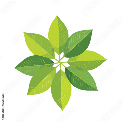 Lemon Leaves Vector Illustration in EPS Format, Minimalist Botanical Design