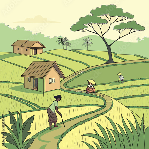 farmer in rice field