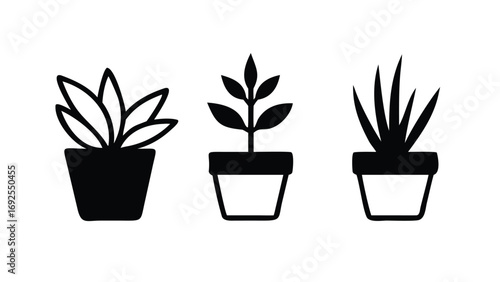 Vector art of three potted plants in a row, , representing growth, nature, and indoor gardening in a minimalist style