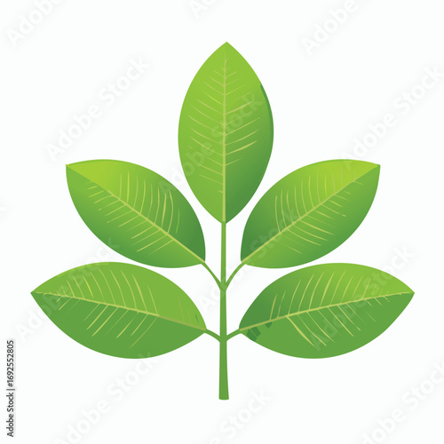 Lemon Leaves Vector Illustration in EPS Format, Minimalist Botanical Design