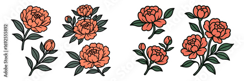 Set of stylized peony flowers with leaves and buds isolated on a white background for botanical design elements