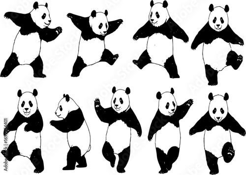 Set of dancing panda hand drawn ink sketch. Engraved style vector illustration
