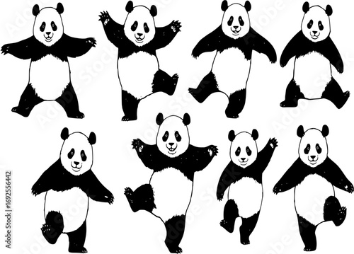 Set of dancing panda hand drawn ink sketch. Engraved style vector illustration
