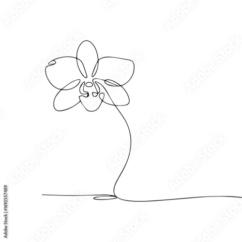 Simple black line art drawing of a Orchid flower in a minimalist style on a white background.