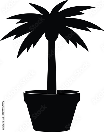 Potted Windmill Palm (Chusan Palm) Black Silhouette Vector
