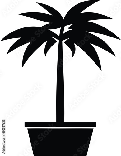 Potted Trachycarpus Fortunei Palm Silhouette, Tropical Plant Icon