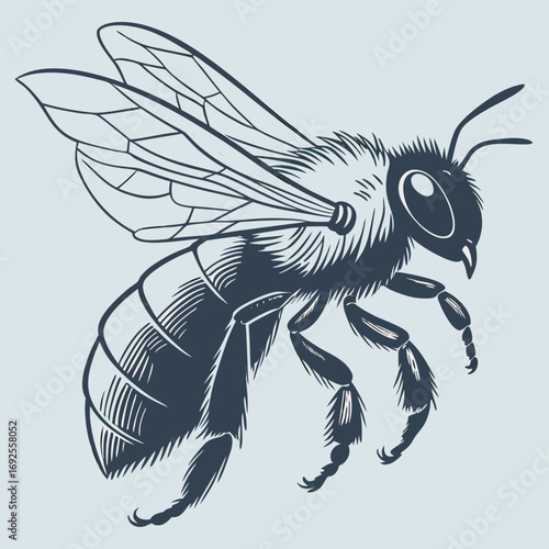 vector illustration of a bird