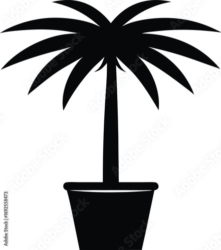 Chinese Windmill Palm Tree in Pot Silhouette, Black Vector Illustration