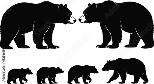Bear silhouette collection, black vector illustration, adult and cub poses, wildlife walking sequence, animal growth stages, nature design, isolated white background