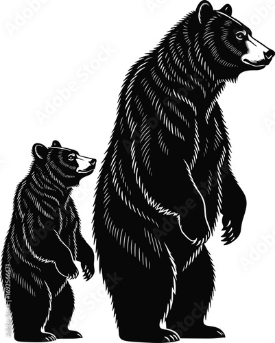 Bear family illustration, standing adult bear, cub silhouette vector, black and white wildlife graphic, detailed fur texture, nature animal pose, isolated design