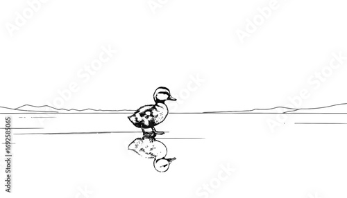 Adorable duckling standing on water with reflection, tranquil scene of nature, perfect for children's books, educational materials, or serene projects needing a gentle touch