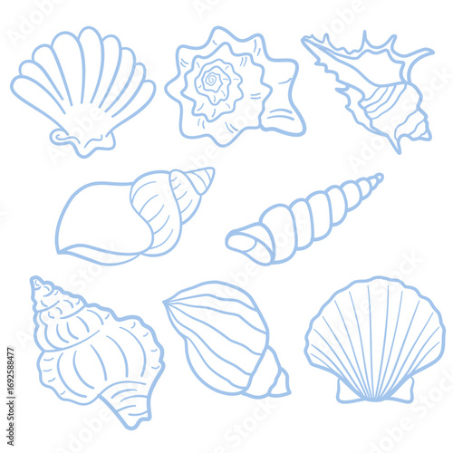 Set of hand-drawn outline seashell