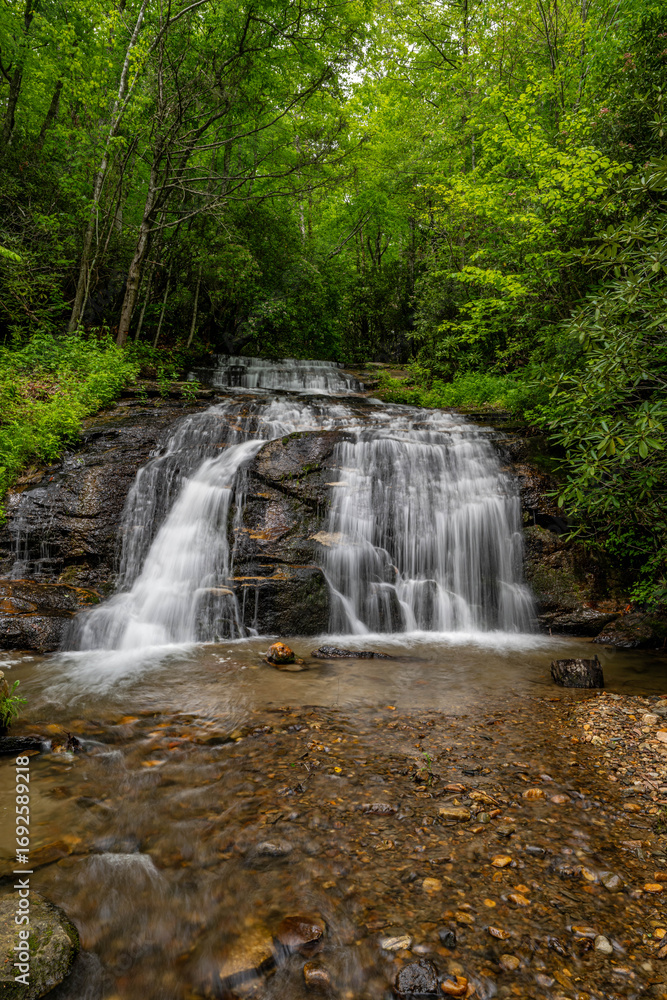 Fototapeta premium waterfall in the summer