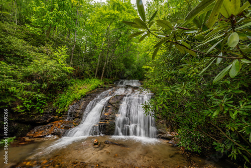 waterfall, water, river, nature, stream, forest, landscape, green, tree, rock, cascade, creek, fall, rocks, mountain, park, spring, stone, flow, summer, flowing, trees, brook, environment, beautiful