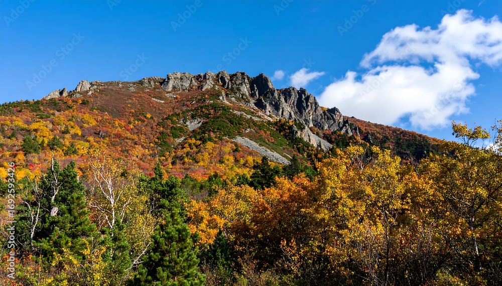Fototapeta premium Autumn mountain landscape
