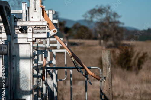 Valokuva Female Farmer Operating a Cattle Crush in Australian Stockyards