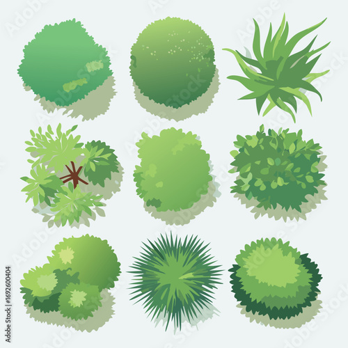 Ensemble de 9 Icônes d'Arbres et d'Arbustes pour Plans de Jardins et Architecture Vus de dessus, Nature et Végétation Couleur Vert Vecteur