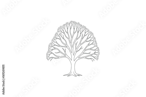 Outline drawing of a stylish sherwani with intricate pattern and pocket square detail