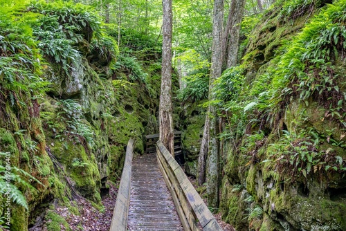 Photography jacksonville, florida