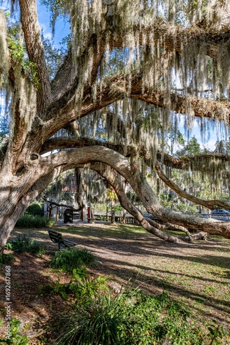 Photography jacksonville, florida