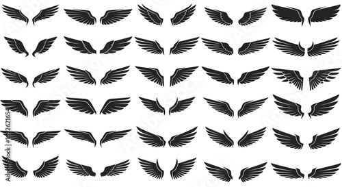 Set of various angel wings collection of different wing silhouettes for heraldry, tattoo or emblem