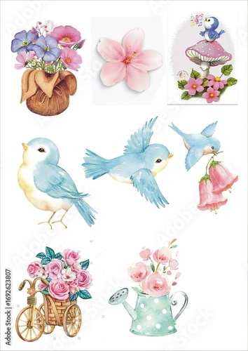 Photography birds and flowers