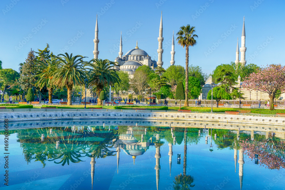 Naklejka premium Blue Mosque, Istanbul, Turkey